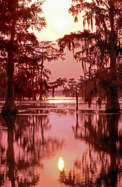 Louisiana Sunset on a Atchafalaya Basin bayou